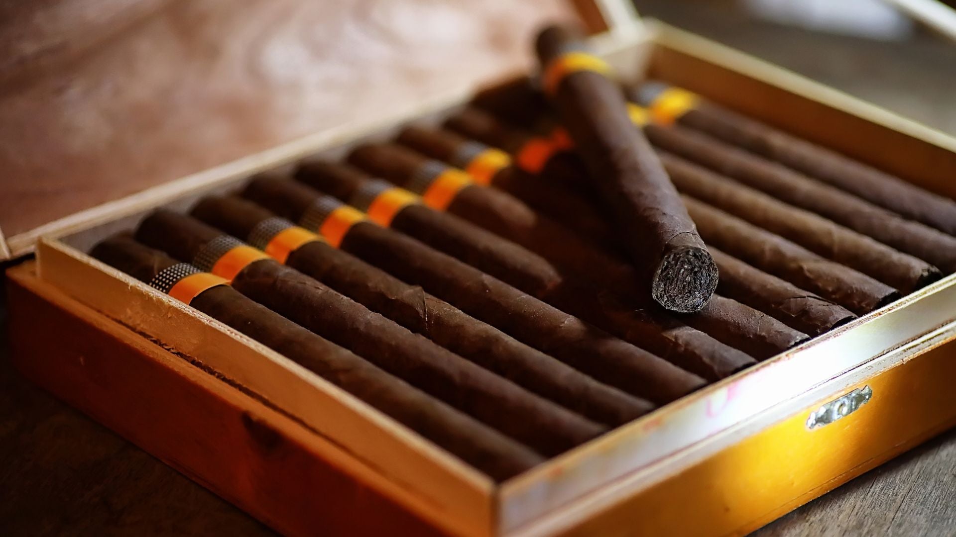Zoning In: Vape Zone’s Top Picks for Cigar Lovers in Calgary