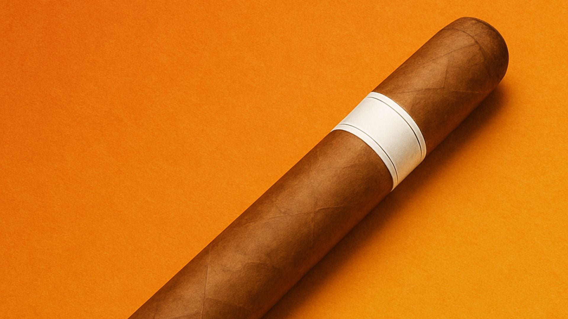 How to Choose the Right Cigar for Any Occasion
