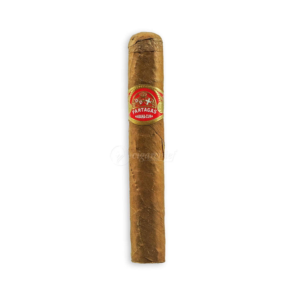 Partagas Cigars Shorts
