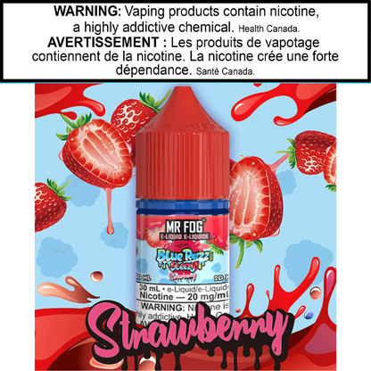 MR FOG - Steezy Collection E-Liquid 20MG/30ML
