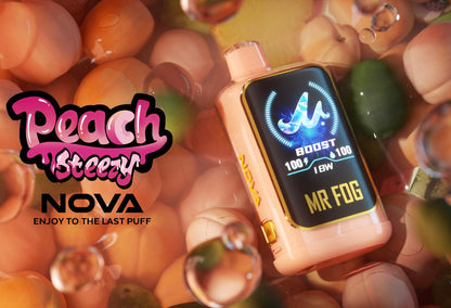 Mr Fog Nova (AB)