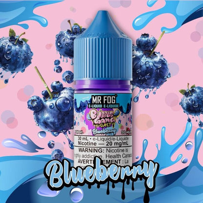 MR FOG - Steezy Collection E-Liquid 20MG/30ML