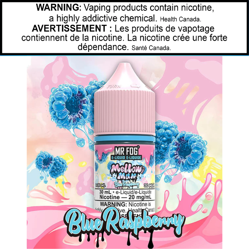 MR FOG - Steezy Collection E-Liquid 20MG/30ML