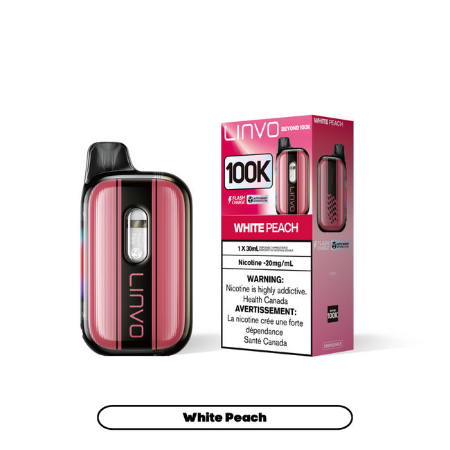 Linvo Beyond 100k Disposable Vape